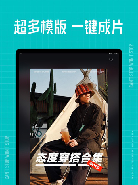 鹈鹕雏鸟吞下星月光壁纸